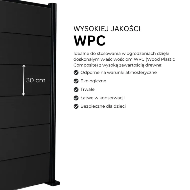 5.webp