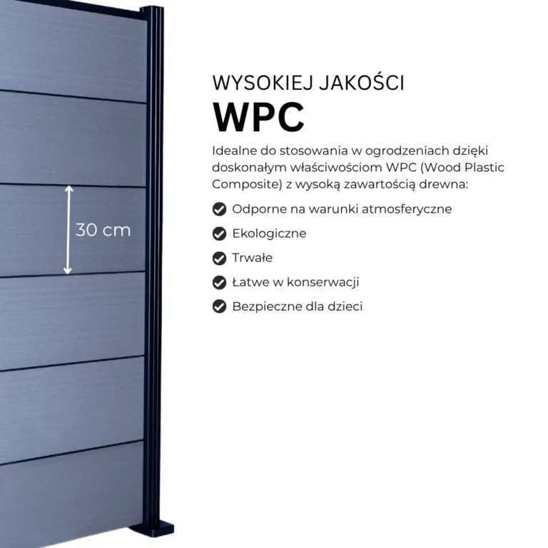 5.webp