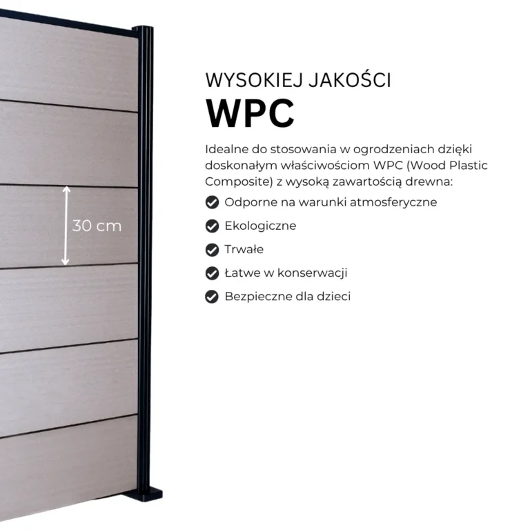 5.webp