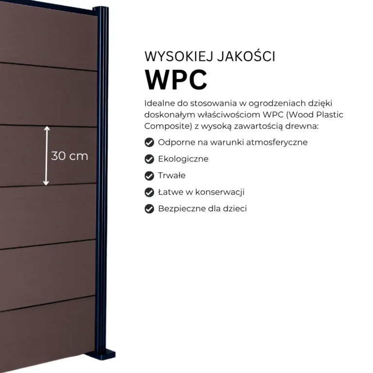 5.webp