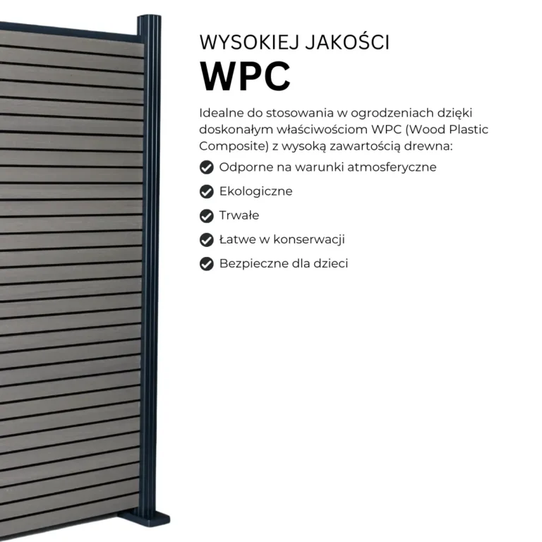 6.webp