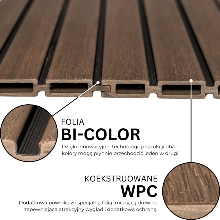 3.webp