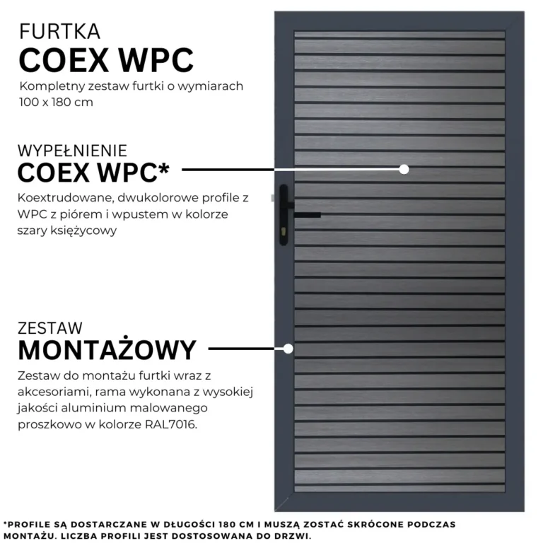 6.webp